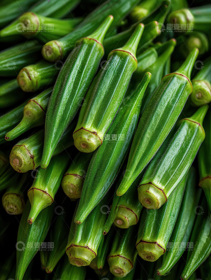 高清大图下载【趣麦麦图】秋葵  翠角  凝脂  
