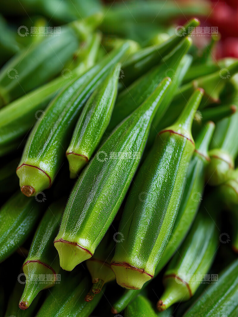 高清大图下载【趣麦麦图】秋葵  翠角  碧玉 