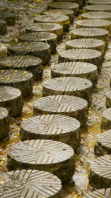 石铺小径秋意浓