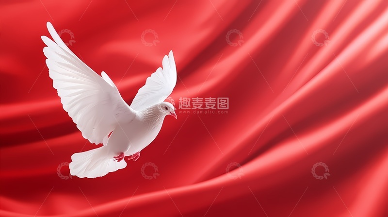 高清大图下载【趣麦麦图】红缎白鸽和平象征场景