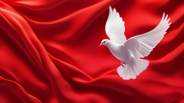 红绸白鸽艺术插画