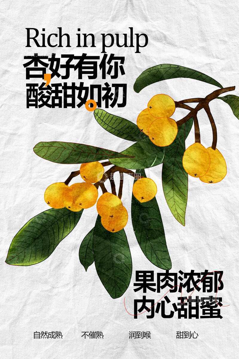 源文件下载【趣麦麦图】-香甜多汁的新鲜杏子海报