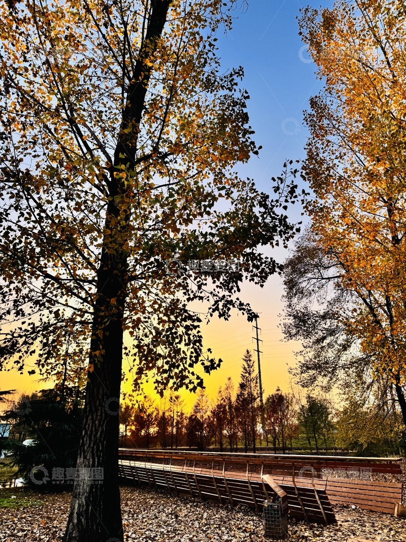 高清大图下载【趣麦麦图】-秋季的晚霞。