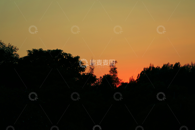 源文件下载【趣麦麦图】夕阳剪影树木风景摄影