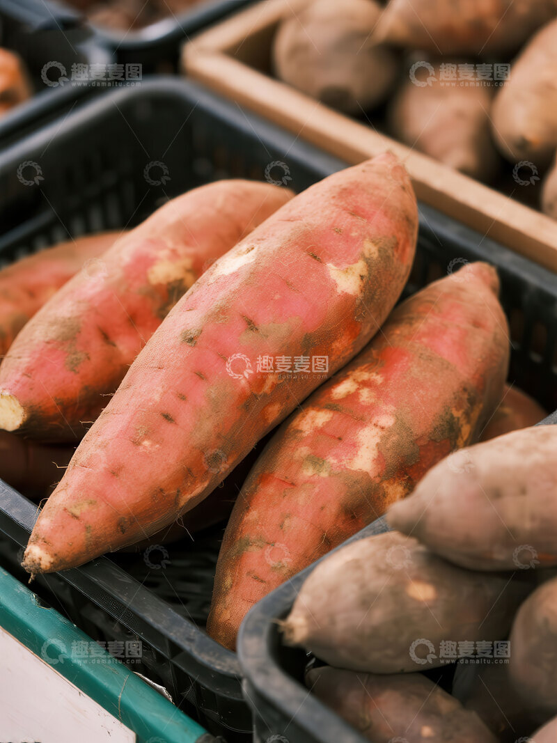 高清大图下载【趣麦麦图】红薯  蜜甜  沙质  