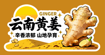 云南黄姜山地特产宣传海报