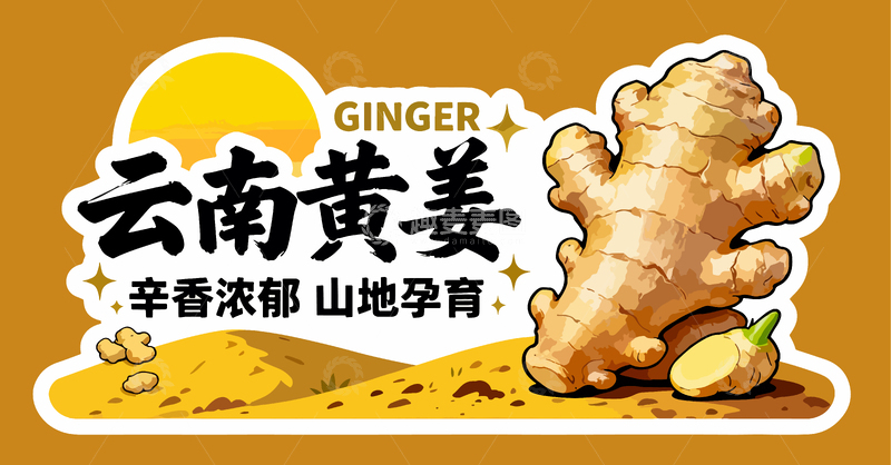 云南黄姜山地特产宣传海报