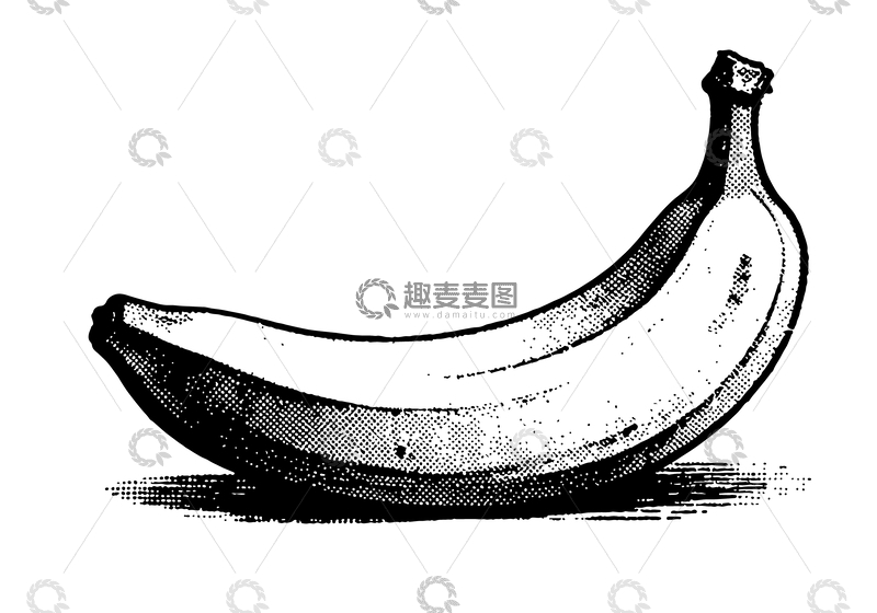 源文件下载【趣麦麦图】-黑白素描香蕉插图