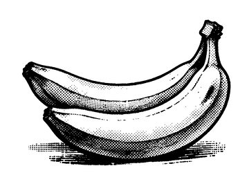 黑白线描香蕉插画素材