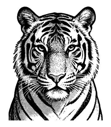 黑白线描老虎头像插画素材