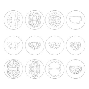 细菌结构线描图素材