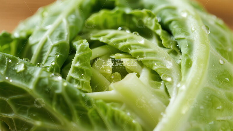 高清大图下载【趣麦麦图】大白菜  耐存  脆甜  