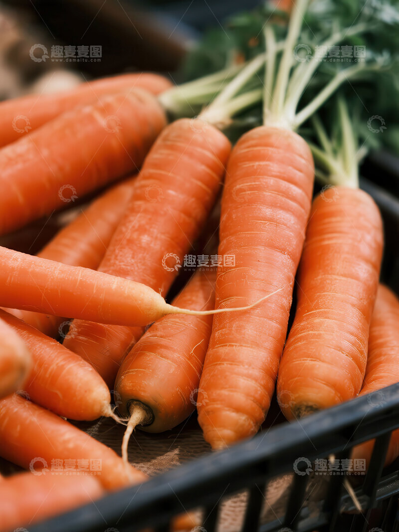 高清大图下载【趣麦麦图】胡萝卜  脆甜  甜滑