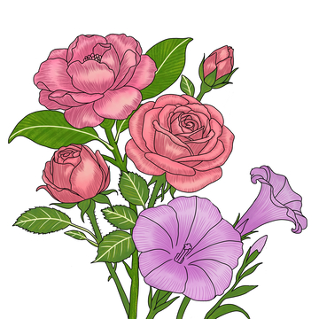 插画风格花卉组合装饰图案设计素材