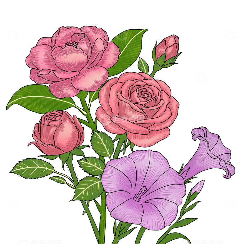 插画风格花卉组合装饰图案设计素材
