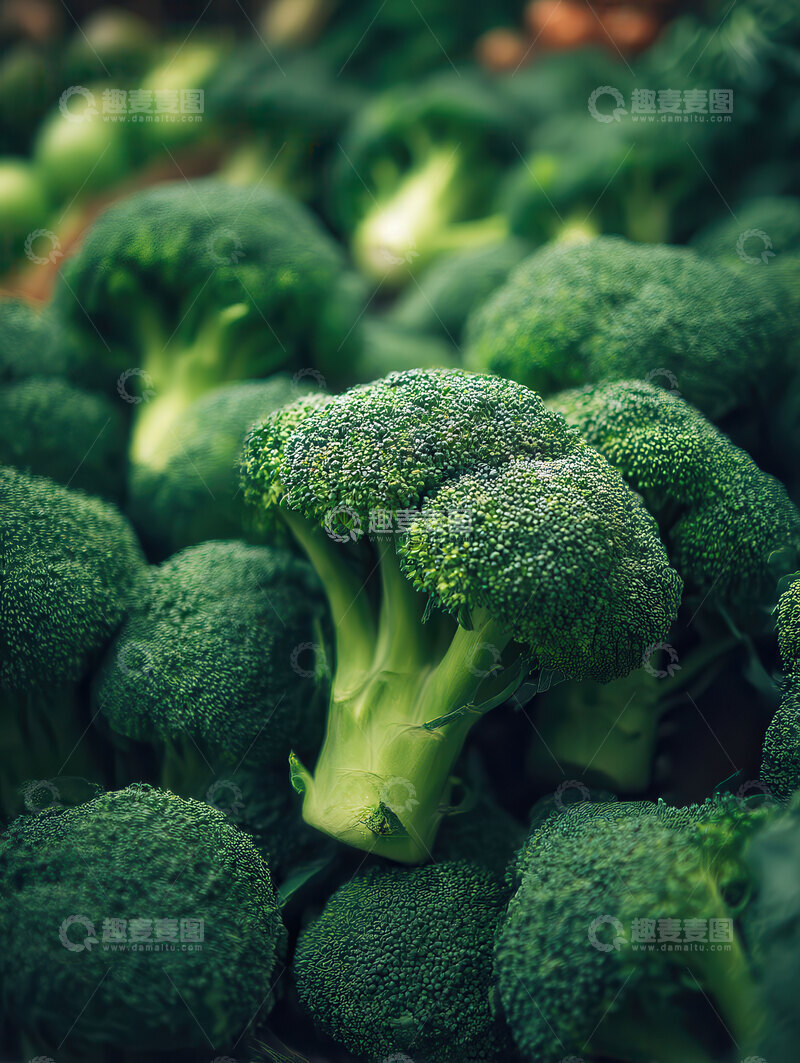 高清大图下载【趣麦麦图】西蓝花  翠冠  营养