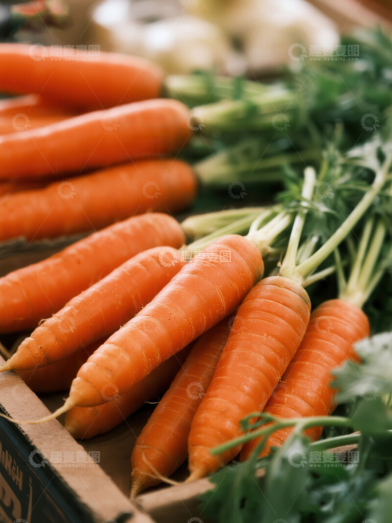高清大图下载【趣麦麦图】胡萝卜  脆甜  滑爽