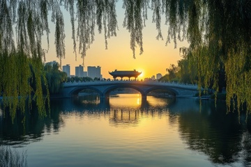 西湖石桥垂柳自然美景