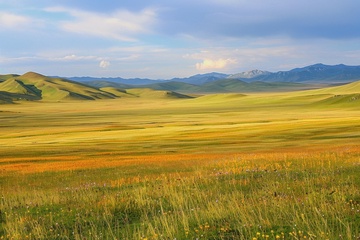 秋季草原草地美景