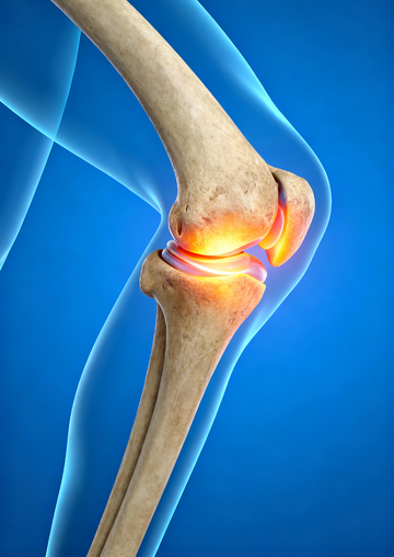 膝盖骨关节医学可视化4