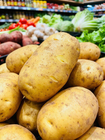 土豆  黄心  甜蜜 