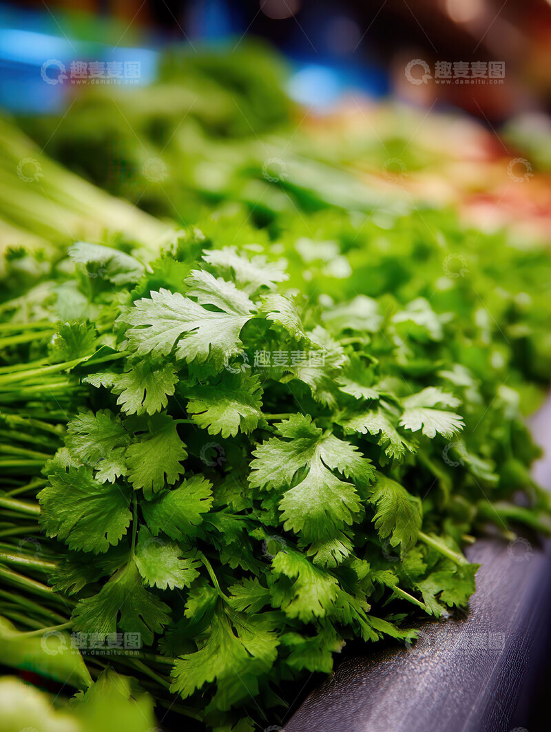高清大图下载【趣麦麦图】香菜  翠叶  香滑
