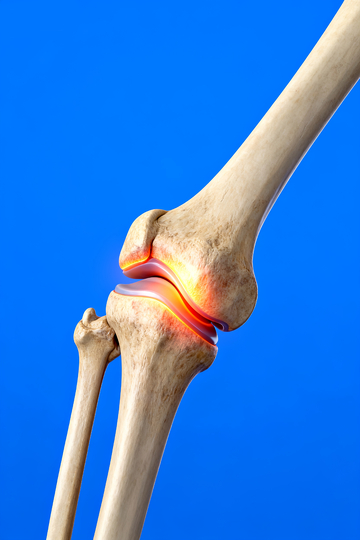 膝盖骨关节医学可视化3