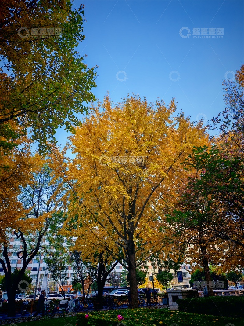 高清大图下载【趣麦麦图】秋日公园美景风光摄影图片