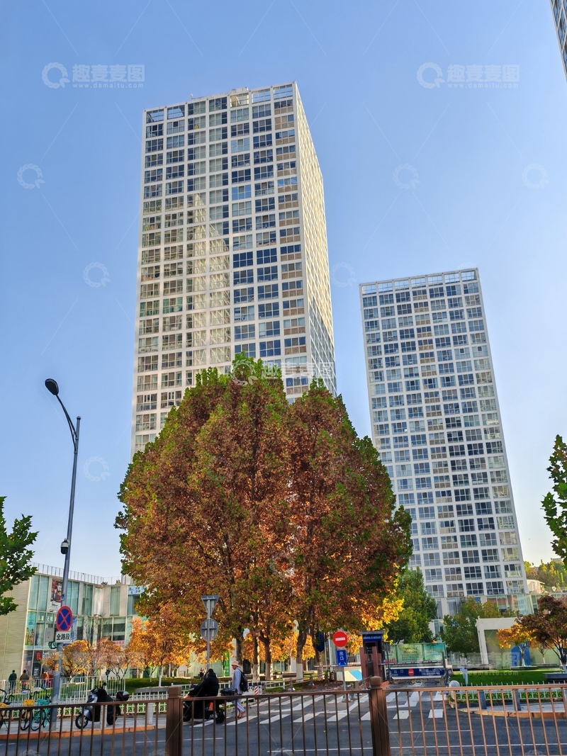 高清大图下载【趣麦麦图】城市高楼秋景摄影