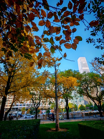 秋日城市公园风光