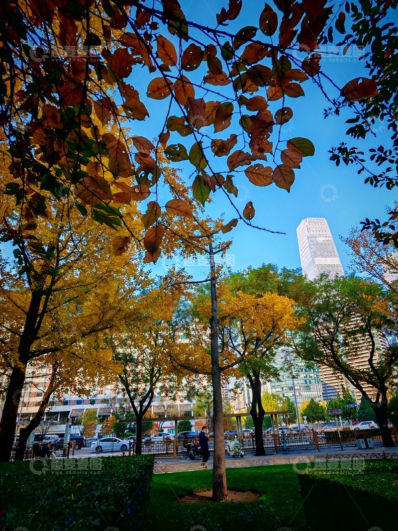 高清大图下载【趣麦麦图】秋日城市公园风光