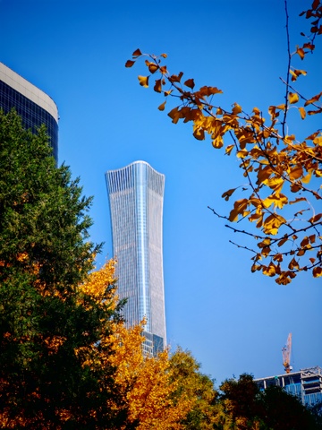 秋意摩天大楼城市风光