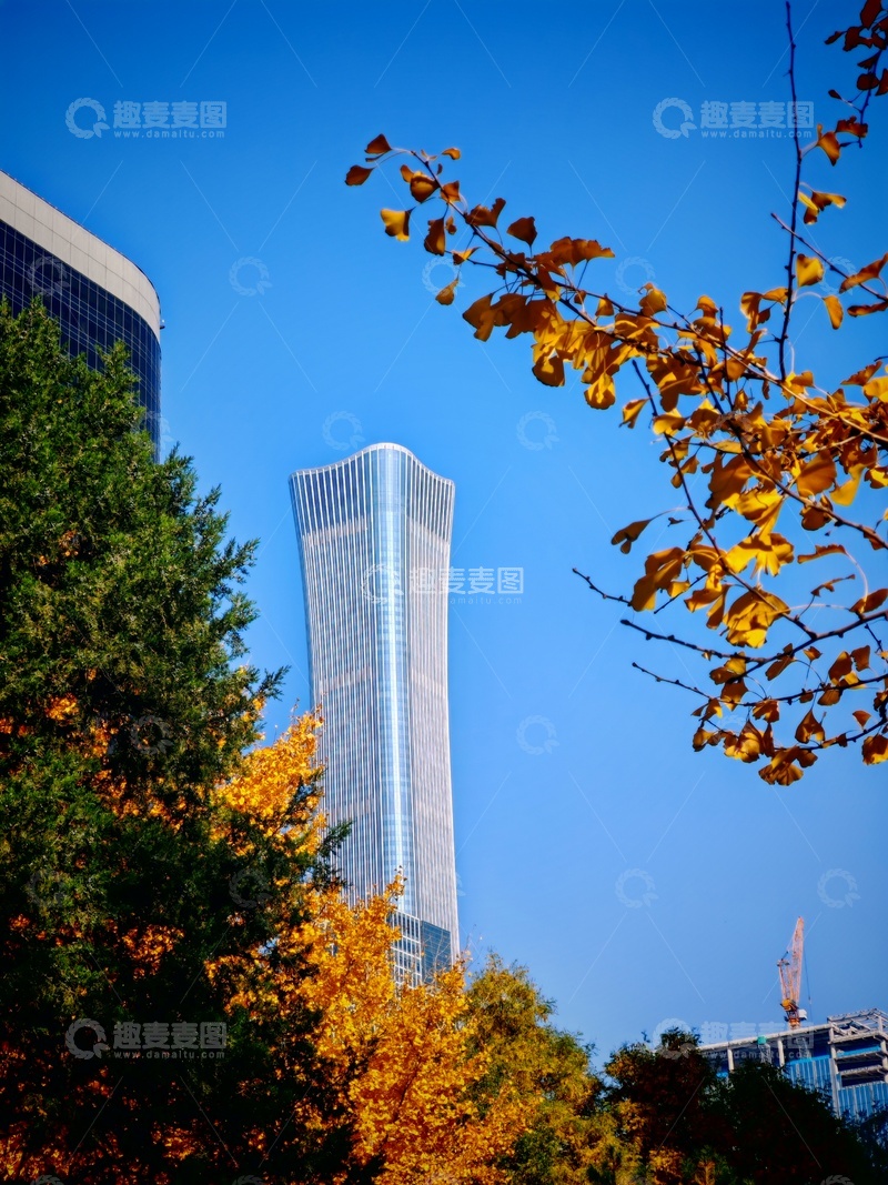 高清大图下载【趣麦麦图】秋意摩天大楼城市风光