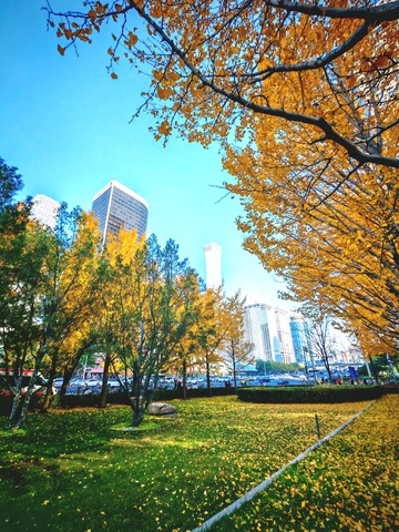 秋日城市公园风光