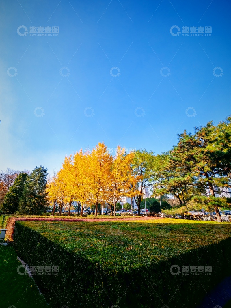 高清大图下载【趣麦麦图】-秋日公园风光