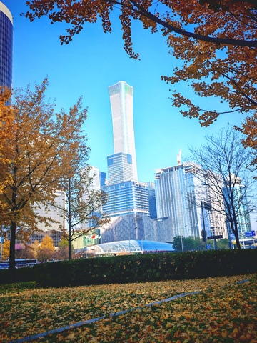 都市秋景高楼林立