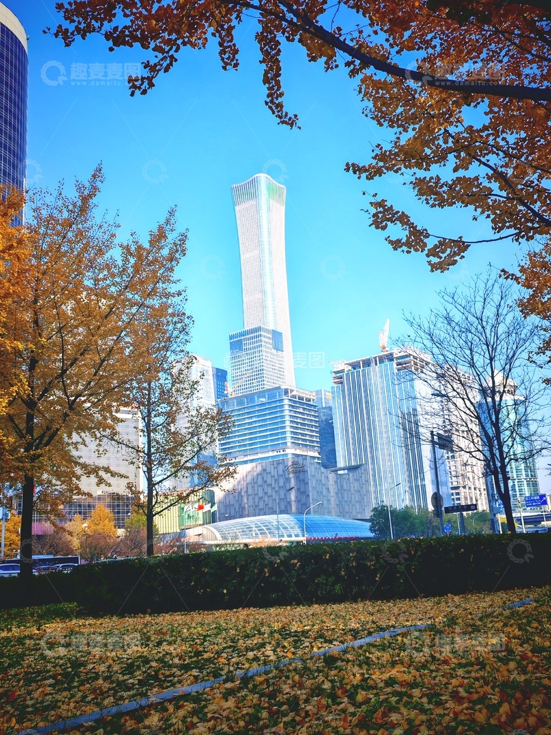 高清大图下载【趣麦麦图】都市秋景高楼林立