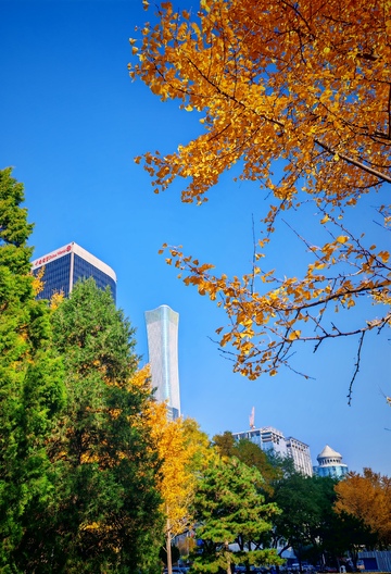 秋意盎然城市风光