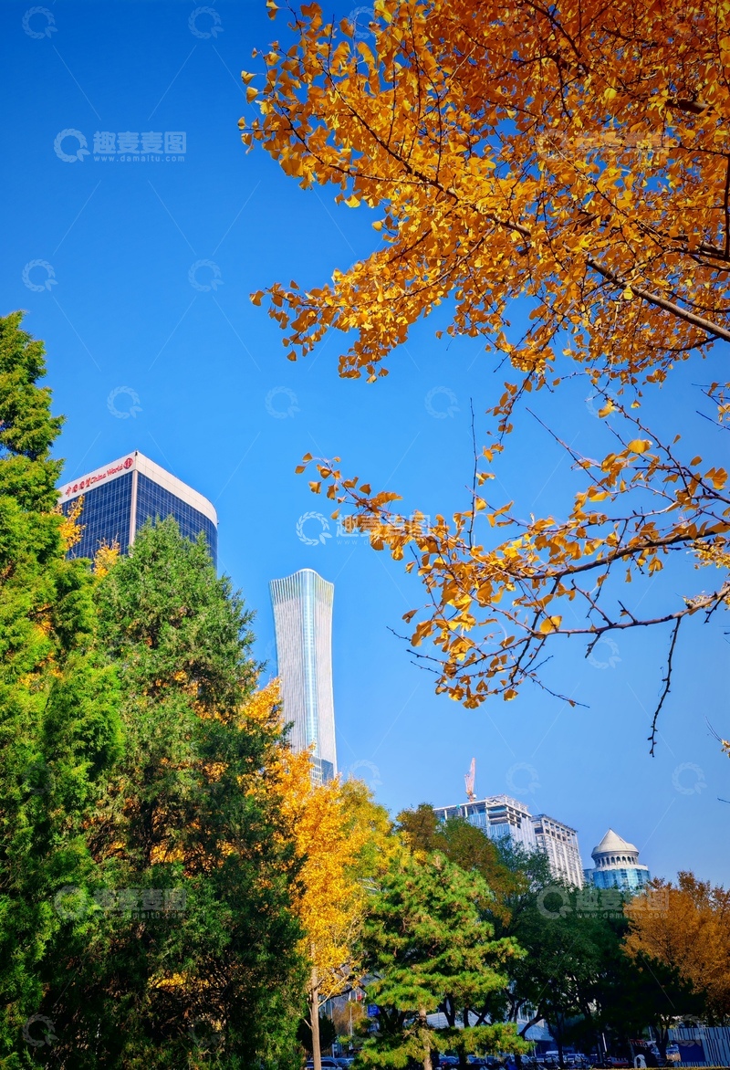 高清大图下载【趣麦麦图】秋意盎然城市风光