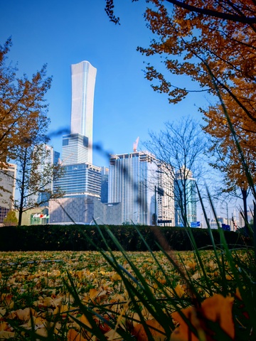 秋城高楼秋叶美景