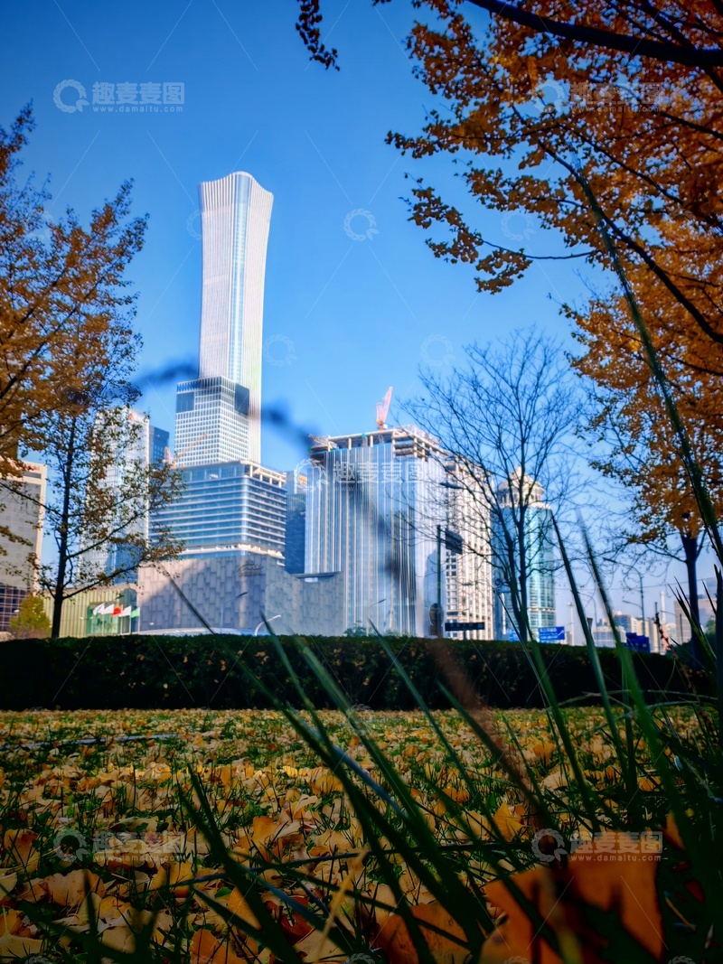 高清大图下载【趣麦麦图】秋城高楼秋叶美景