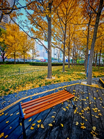 秋日公园长椅景色