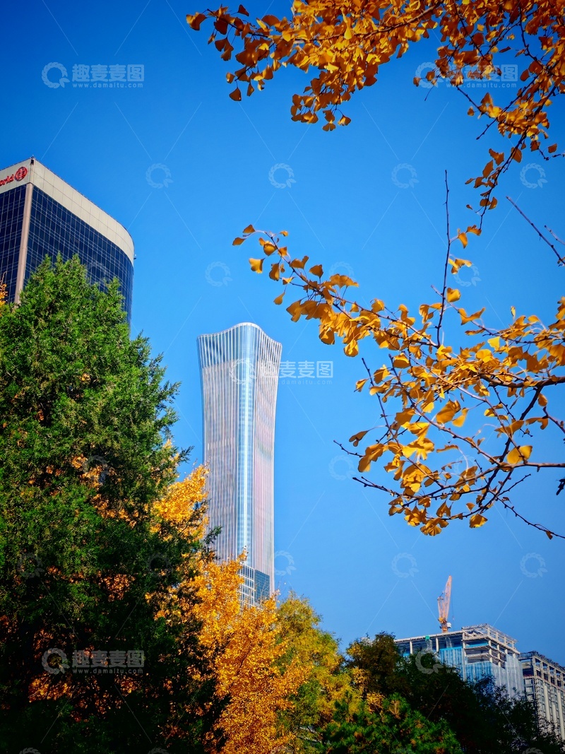 高清大图下载【趣麦麦图】秋意摩天楼绿意盎然