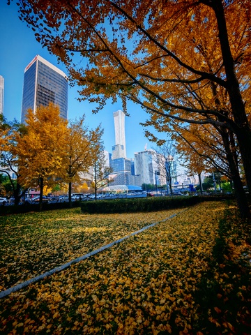 秋日城市公园风光摄影