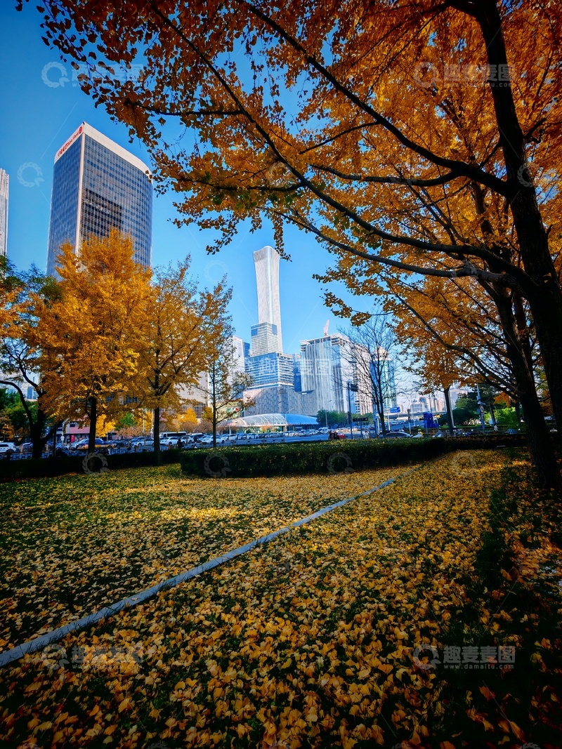 高清大图下载【趣麦麦图】秋日城市公园风光摄影