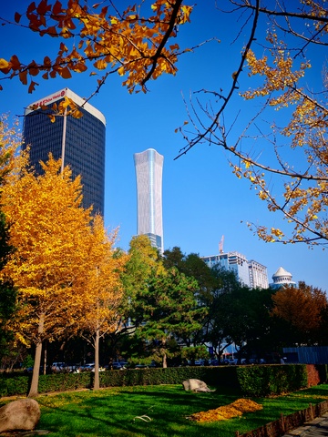 秋日城市公园风光11