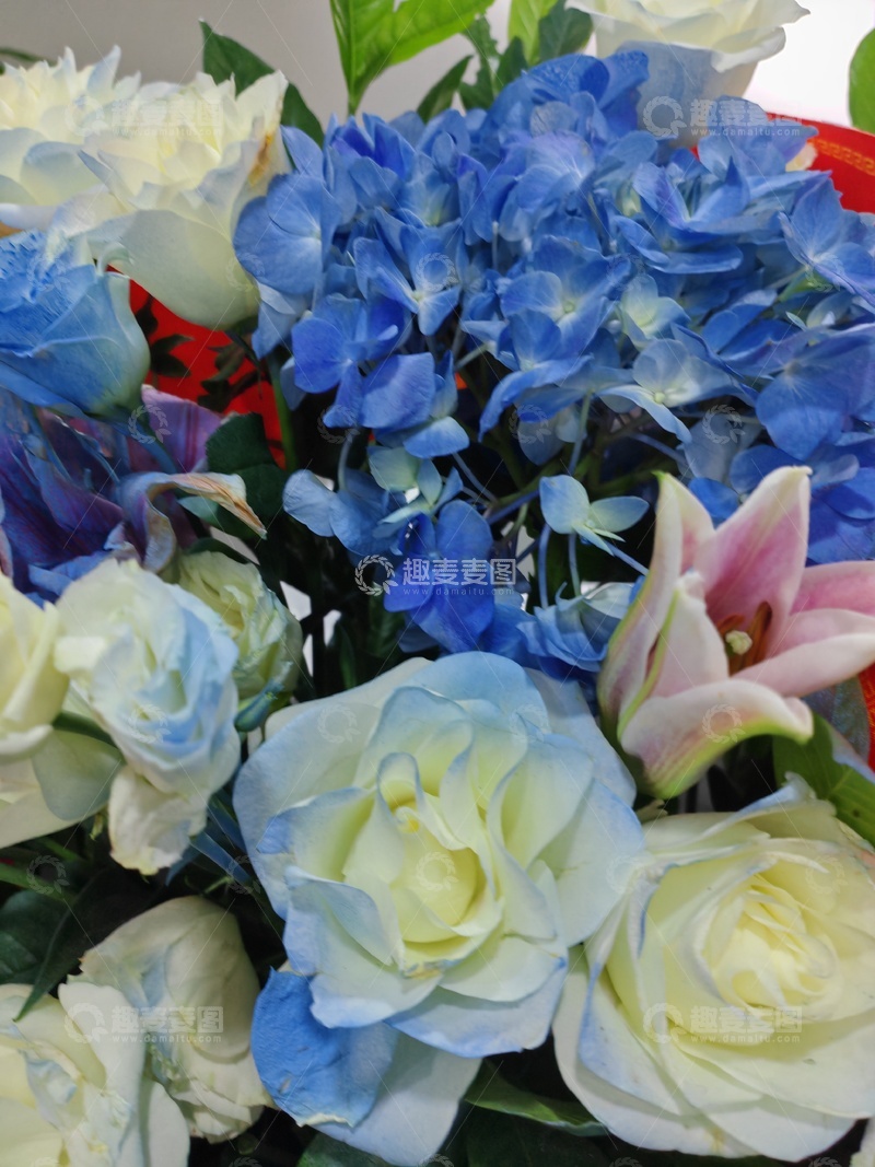 高清大图下载【趣麦麦图】鲜花束蓝白相间花艺设计