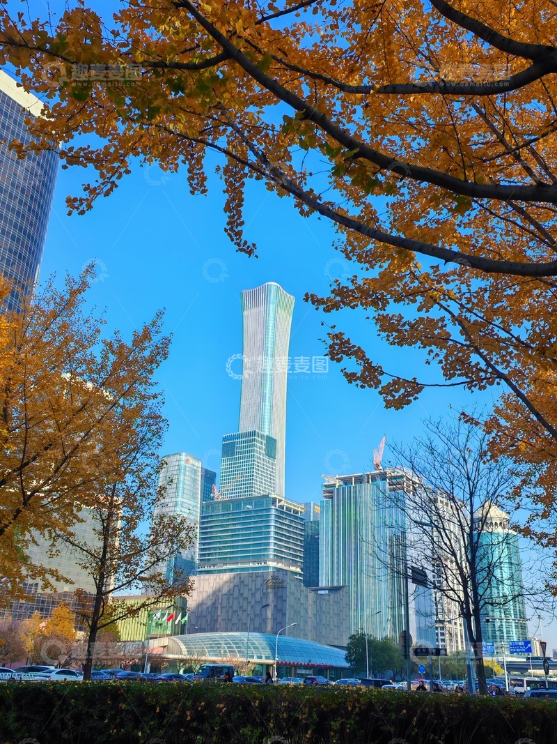 高清大图下载【趣麦麦图】秋日城市高楼美景摄影