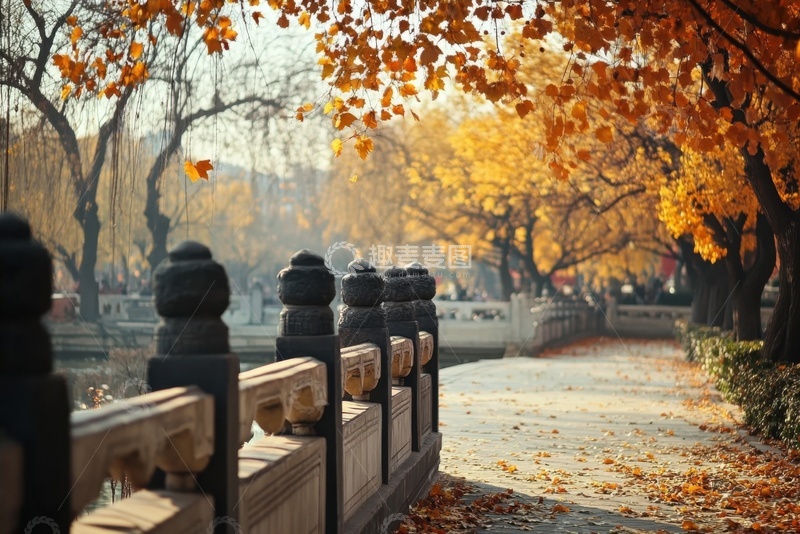 高清大图下载【趣麦麦图】公园里的石桥枫树自然美景