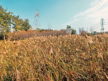 秋日田野风景摄影图片